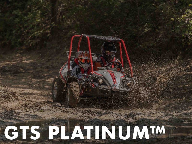 Platinum Automotive